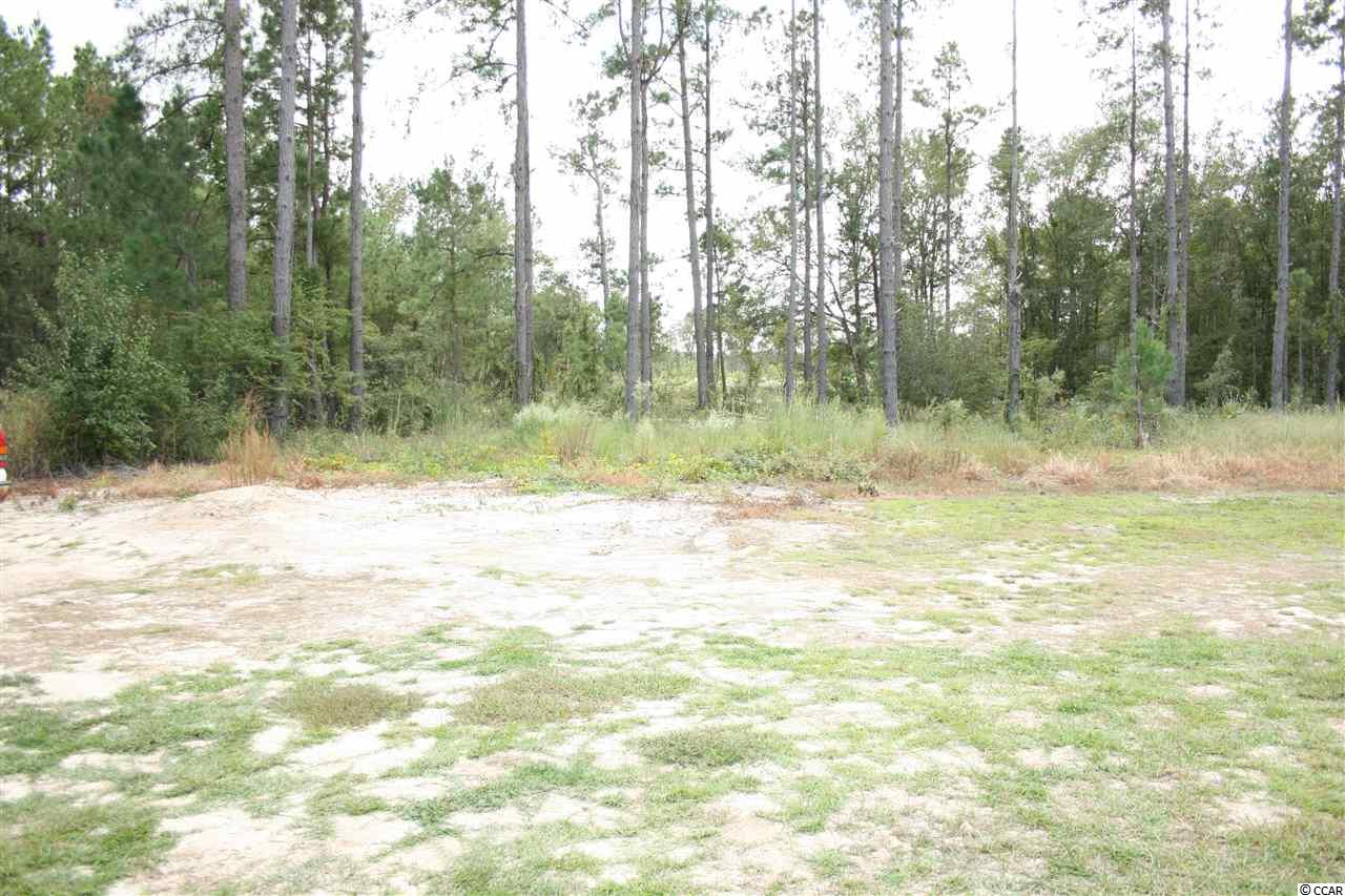 5305 Valley Forge Road Aynor, SC 29511 - Photo 22 of 25 Gallery Image 22