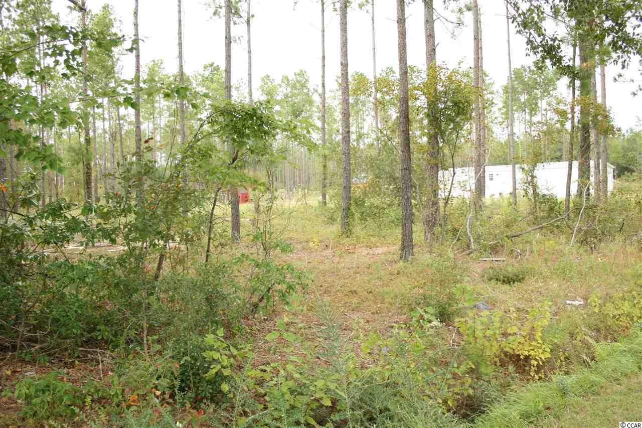 5305 Valley Forge Road Aynor, SC 29511 - Photo 24 of 25 Gallery Image 24