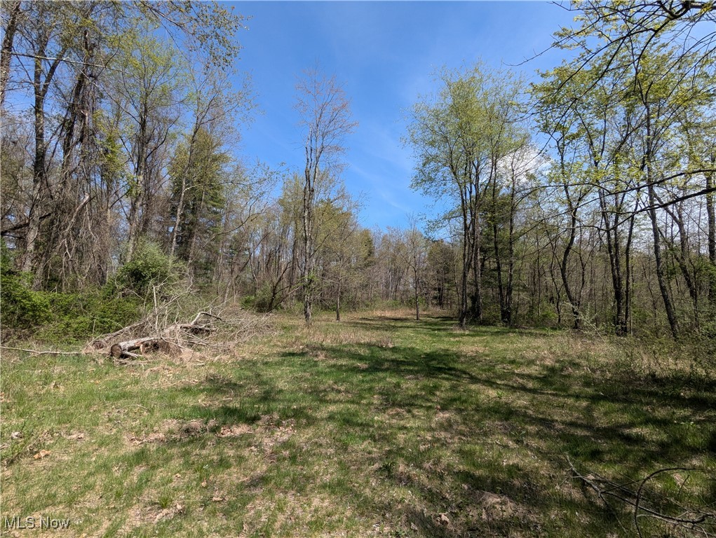 67739 Hendrysburg Freeport Road Barnesville, OH 43713 - Photo 11 of 26 Gallery Image 11