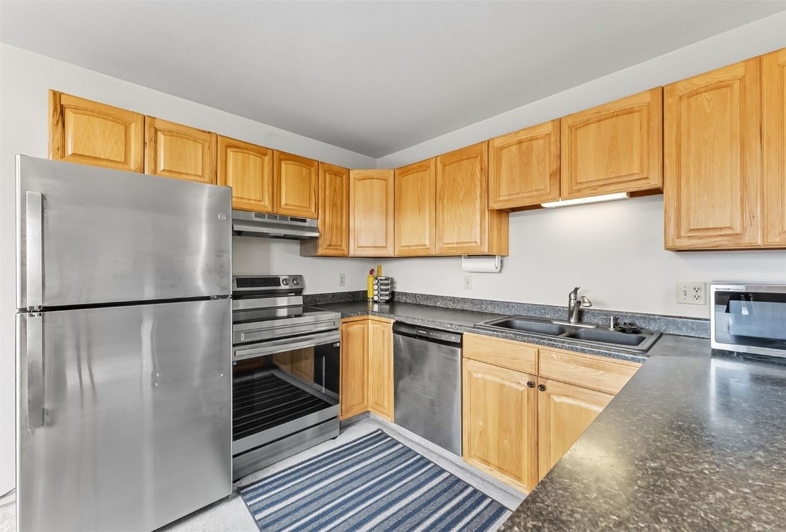 9849 Ryan Gulch Road, Unit 203 Silverthorne, CO 80498 - Photo 16 of 35 a kitchen with a refrigerator a sink and cabinets