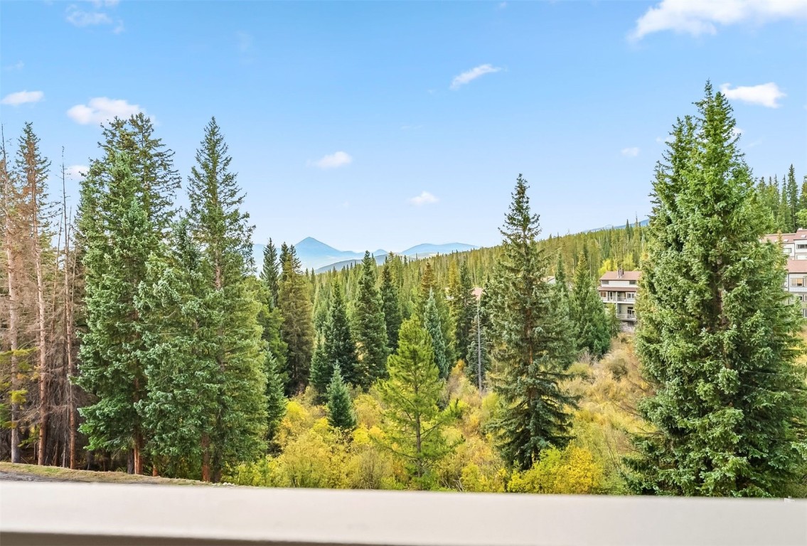 9849 Ryan Gulch Road, Unit 203 Silverthorne, CO 80498 - Photo 32 of 35