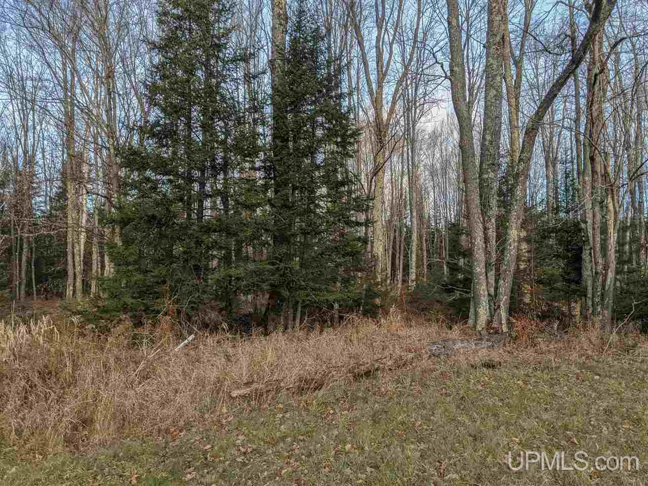 11851 Co Road Cornell, MI 49818 - Photo 32 of 49