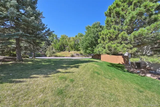 a view of a field with trees