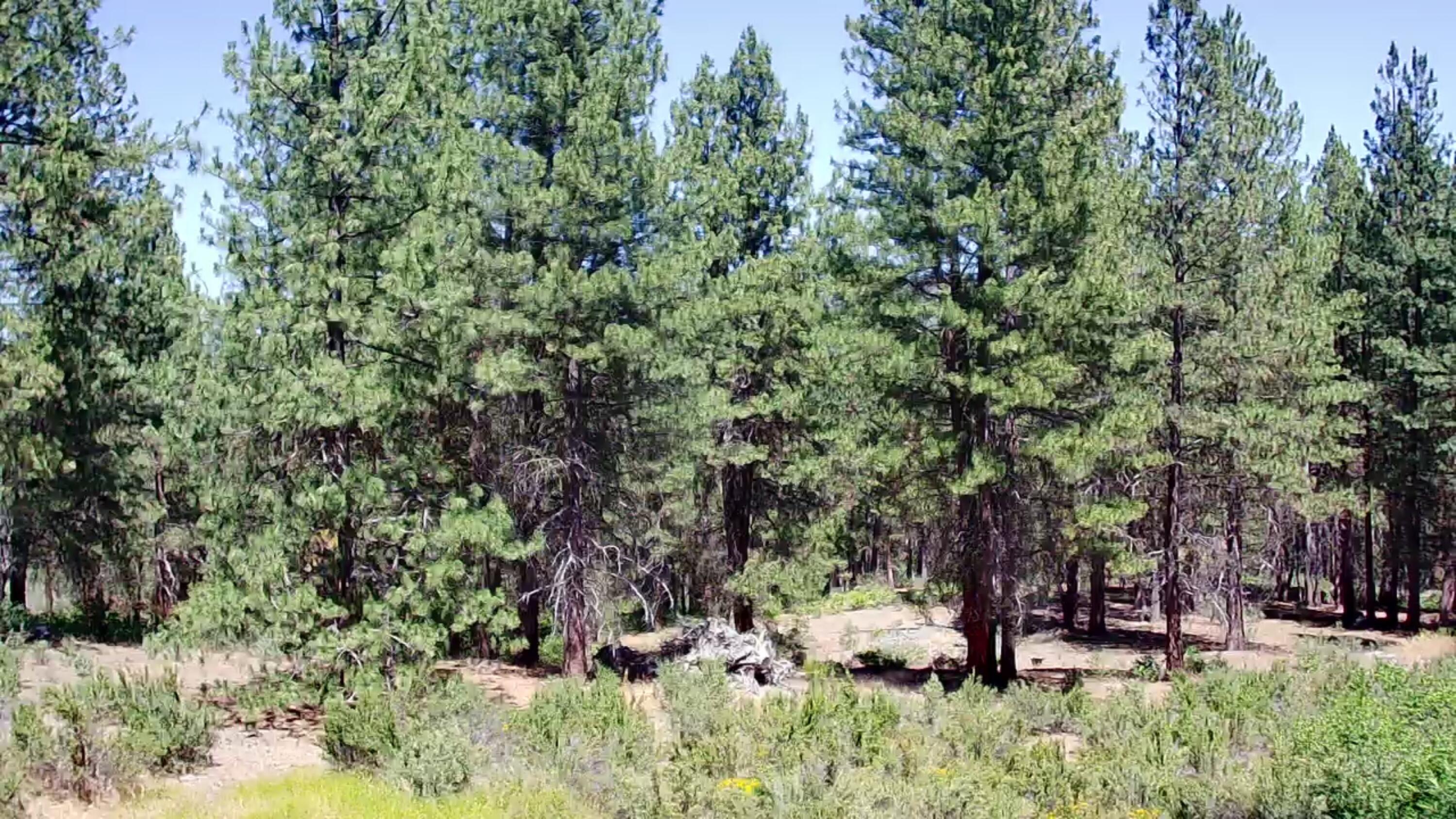 South Waterview Way Chiloquin, OR 97624 - Photo 9 of 15 IMG_4051