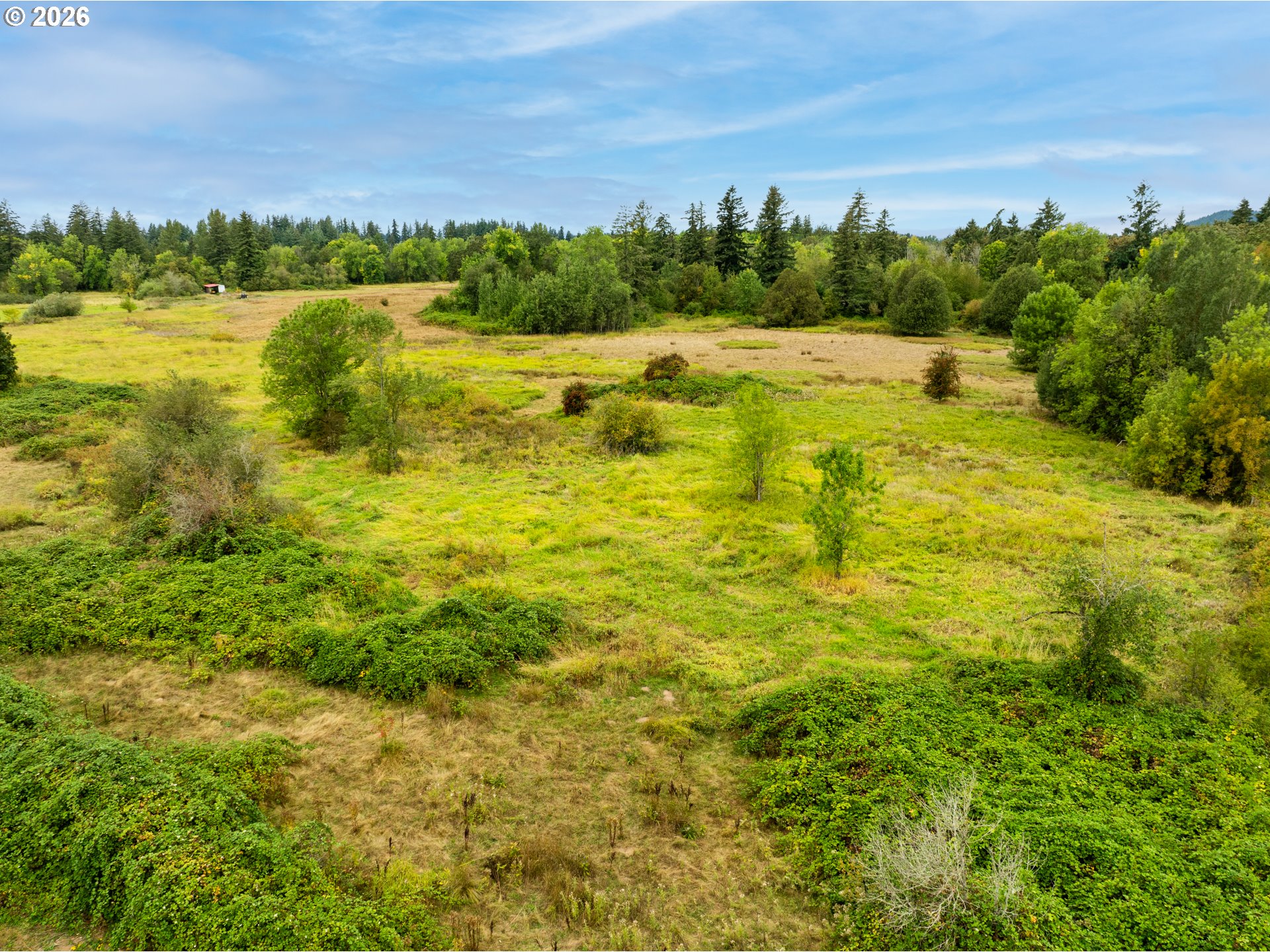 4831 Northwest 38th Avenue Camas, WA 98607 - Photo 20 of 25