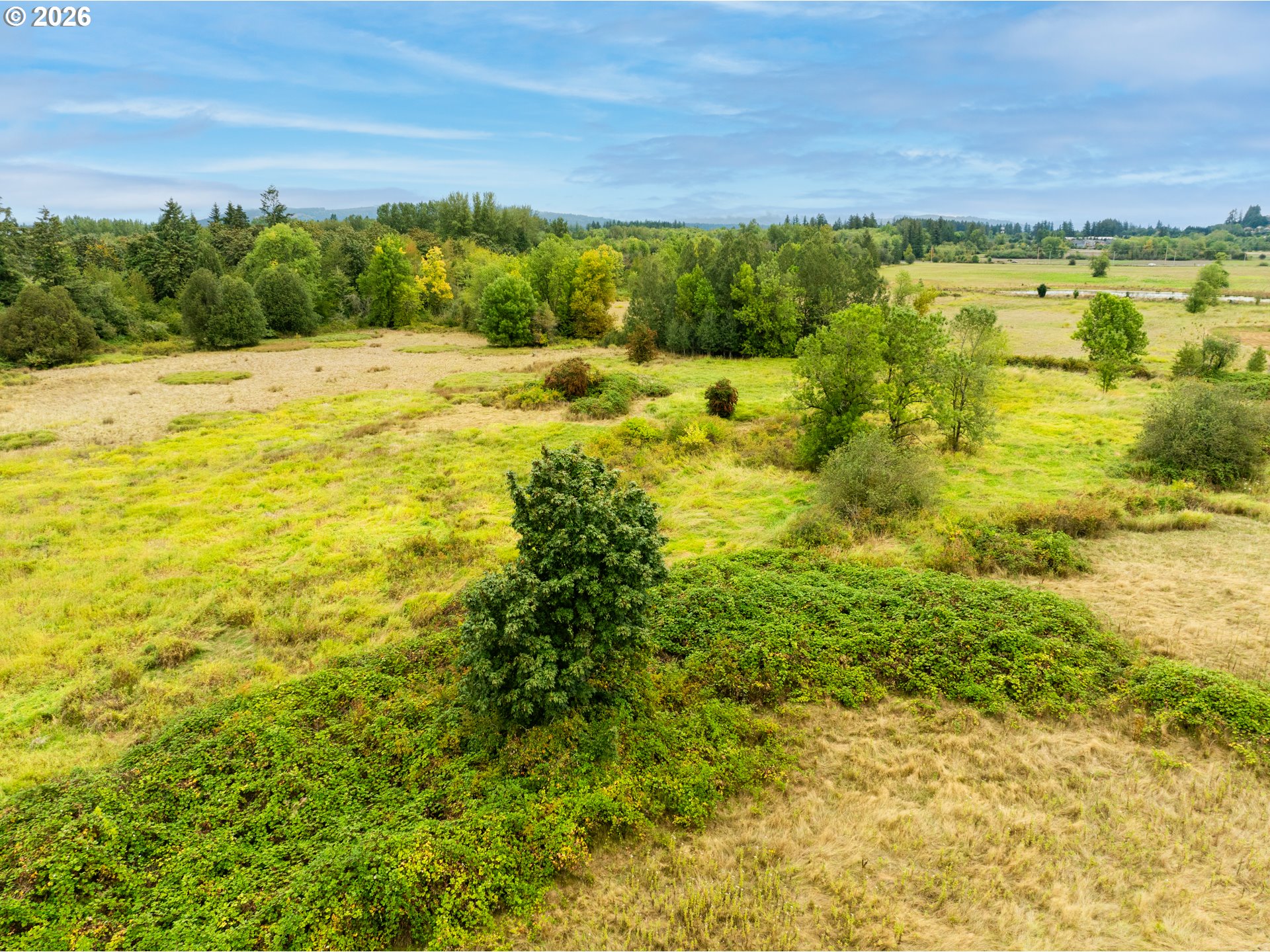 4831 Northwest 38th Avenue Camas, WA 98607 - Photo 9 of 25