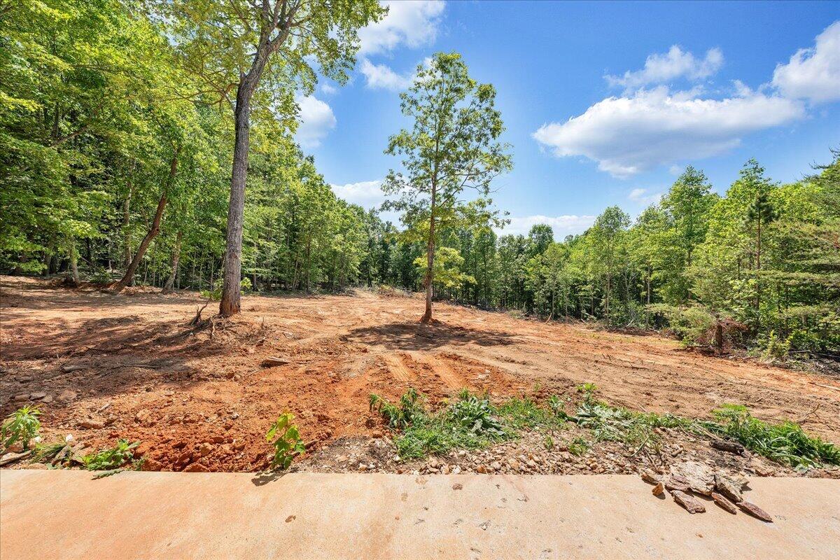 6379 Fork Mountain Road Rocky Mount, VA 24151 - Photo 8 of 9 a view of a backyard of a house