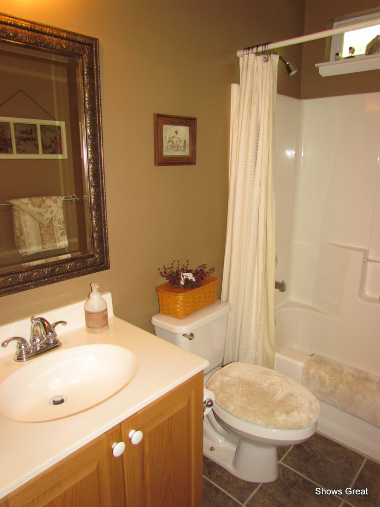 388 Stonehaven Lane Blue Ridge, VA 24064 - Photo 21 of 29 Bath