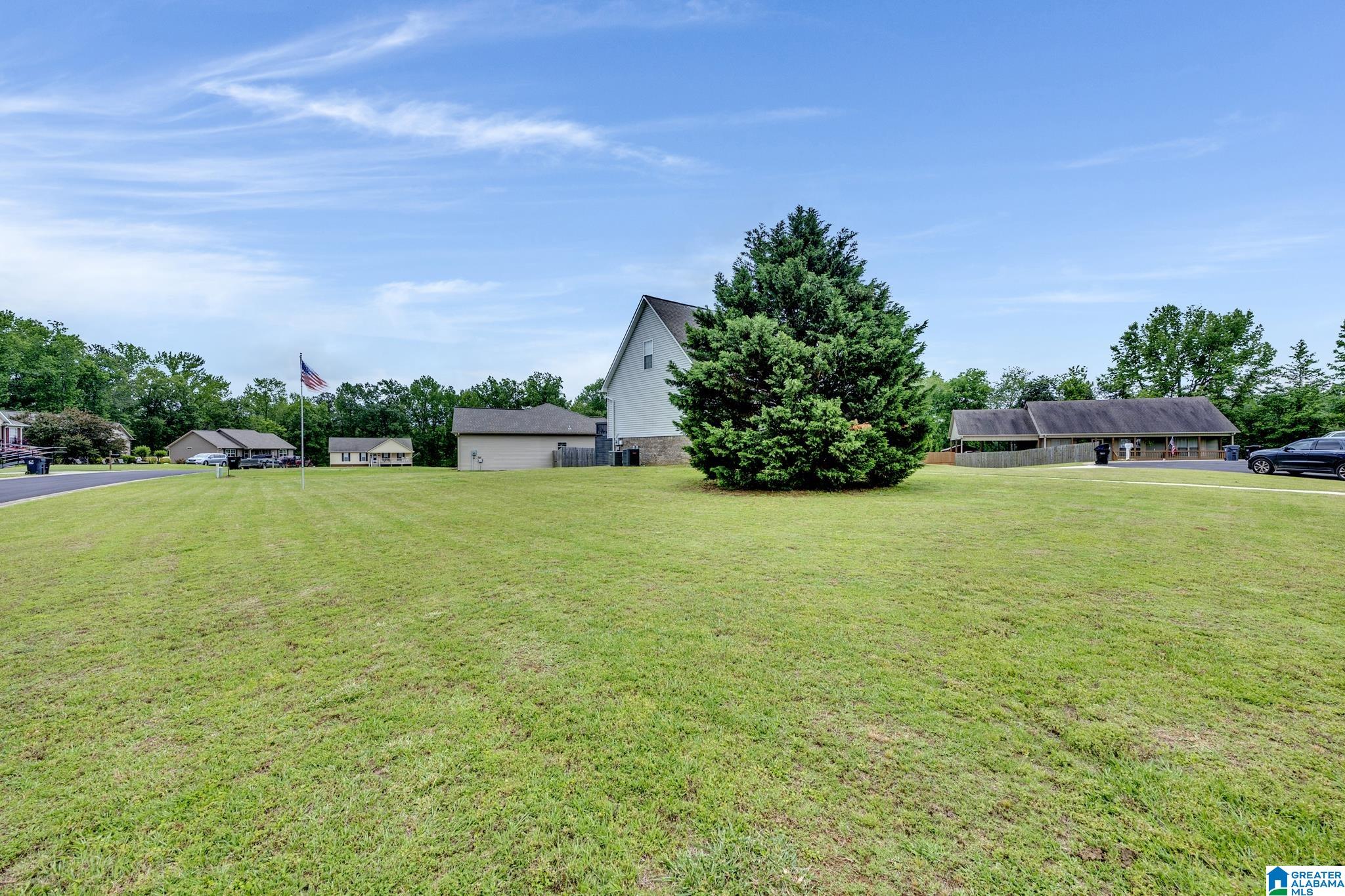 9907 Mike Lane Dora, AL 35062 - Photo 3 of 32