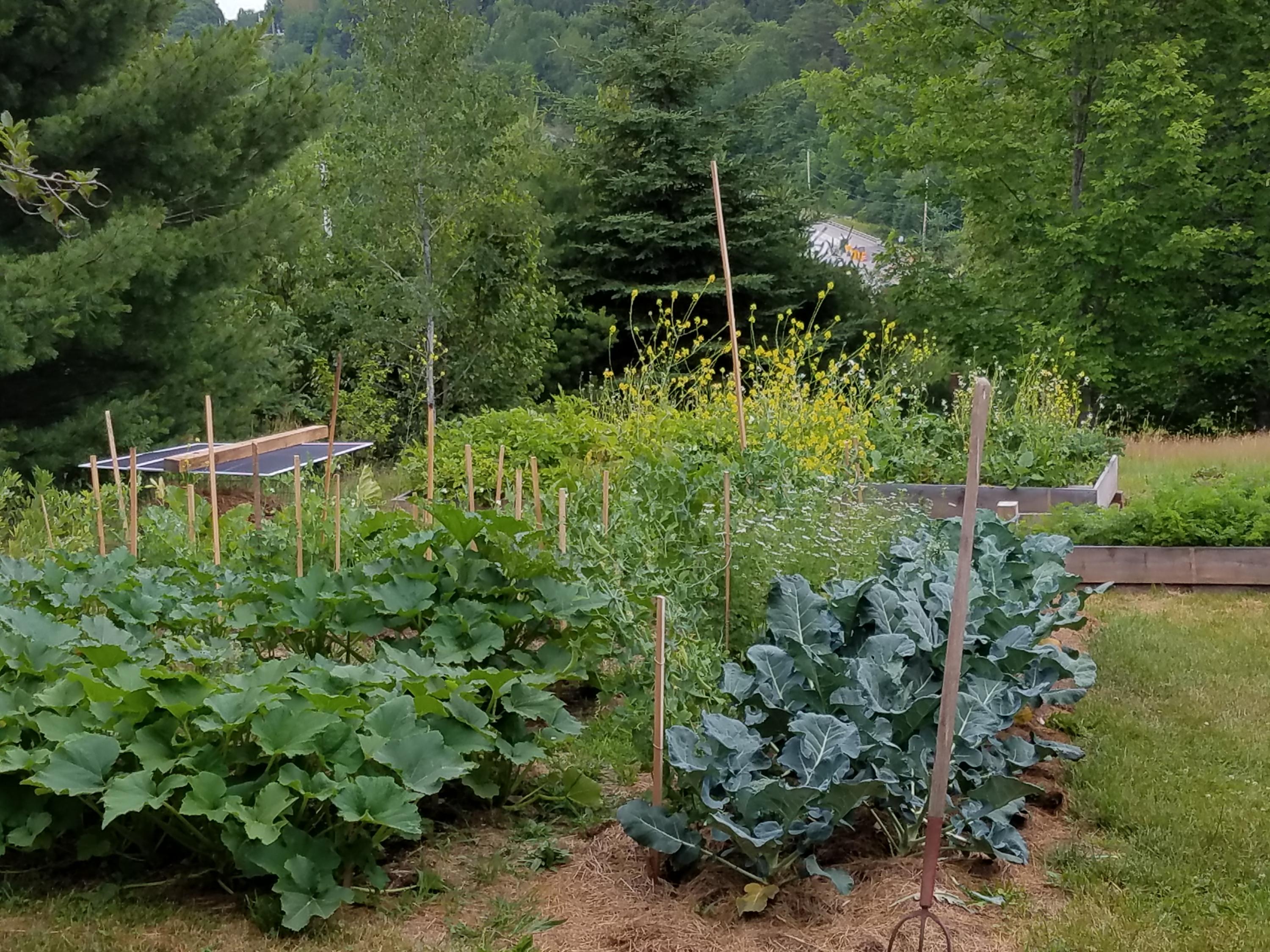 487 Airline Road Ellsworth, ME 04605 - Photo 39 of 61 Garden
