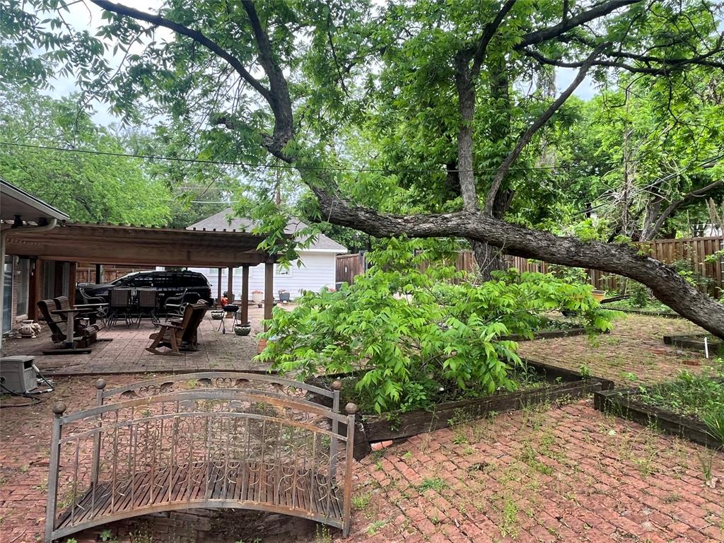 14140 Hillcrest Road Dallas, TX 75254 - Photo 23 of 23 a view of a backyard with plants and a large tree