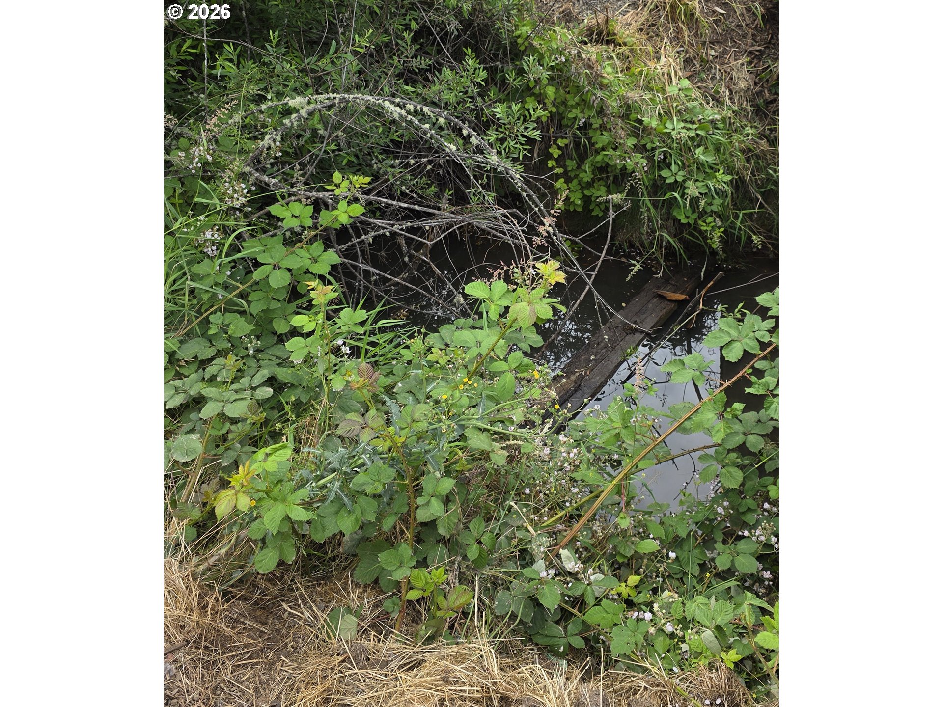 920 Buck Creek Road Drain, OR 97435 - Photo 14 of 18
