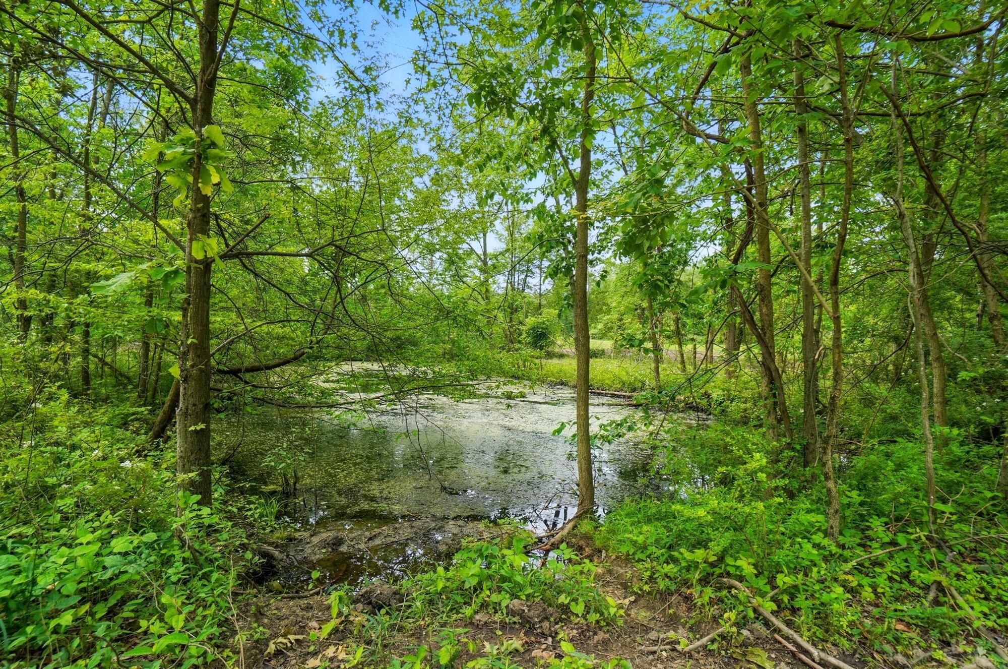 0 Riley Road Northwest Johnstown, OH 43031 - Photo 10 of 10 100