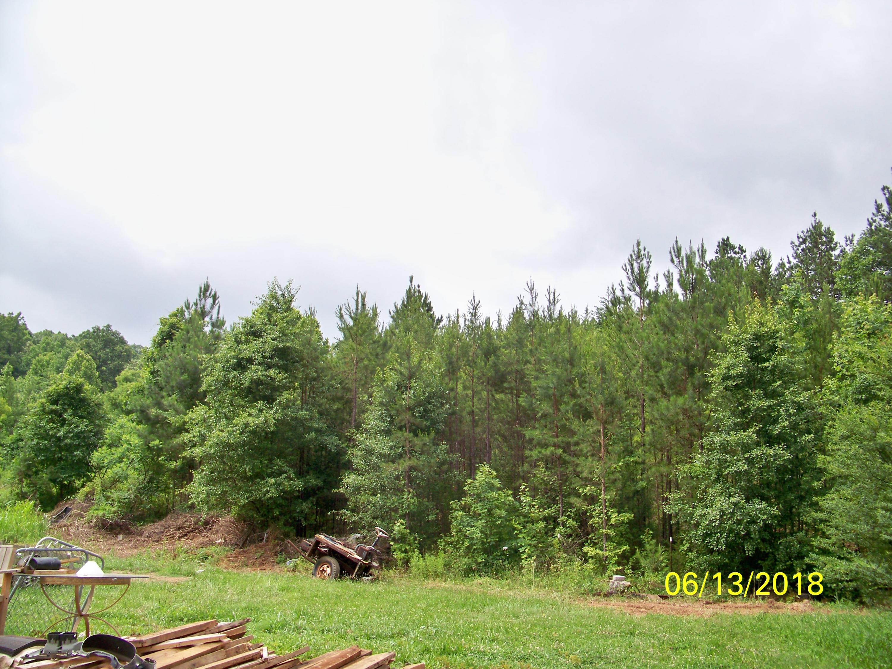 226 Colbaugh Road Decatur, TN 37322 - Photo 1 of 8 100_7137