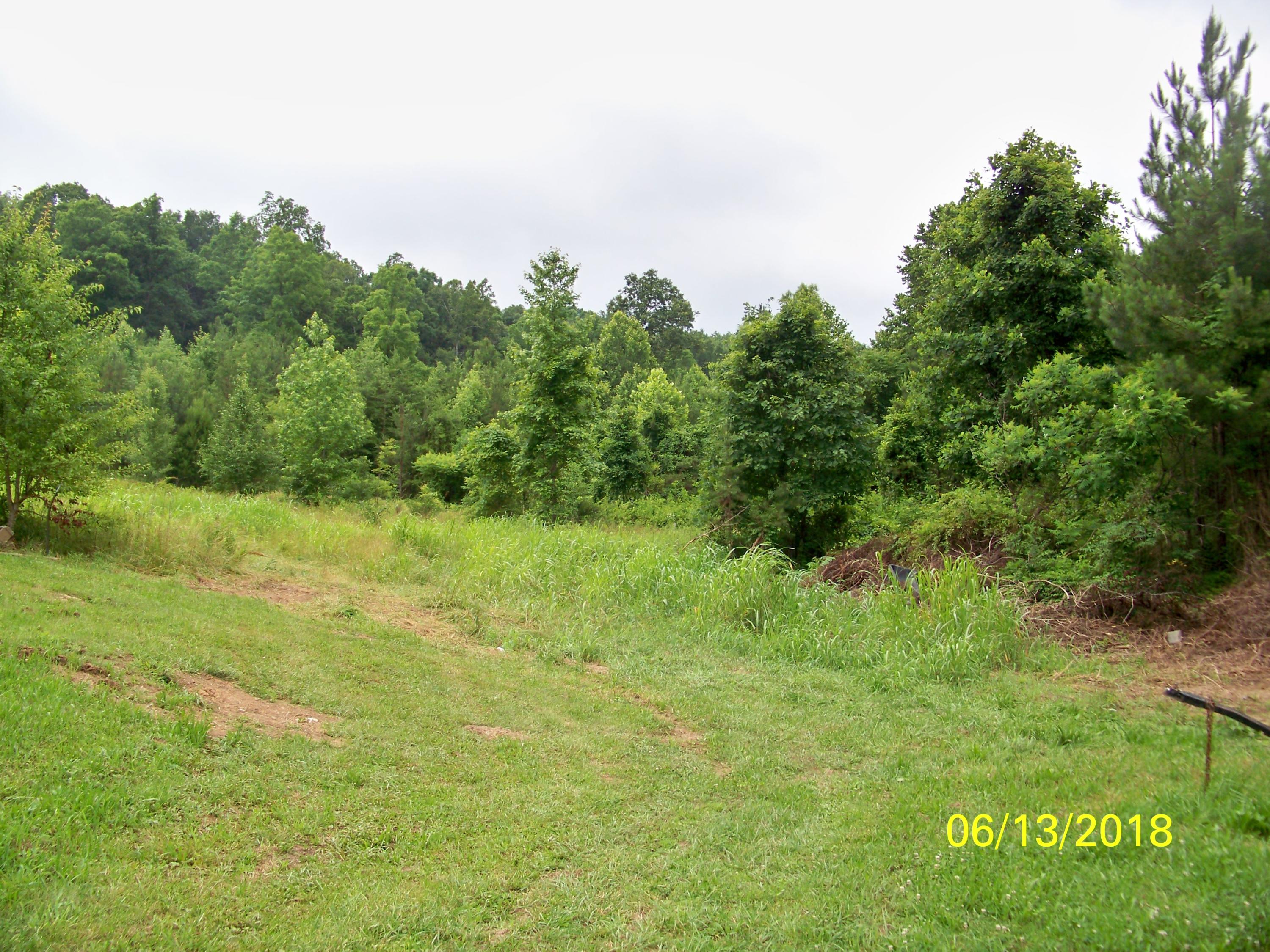 226 Colbaugh Road Decatur, TN 37322 - Photo 3 of 8 100_7139