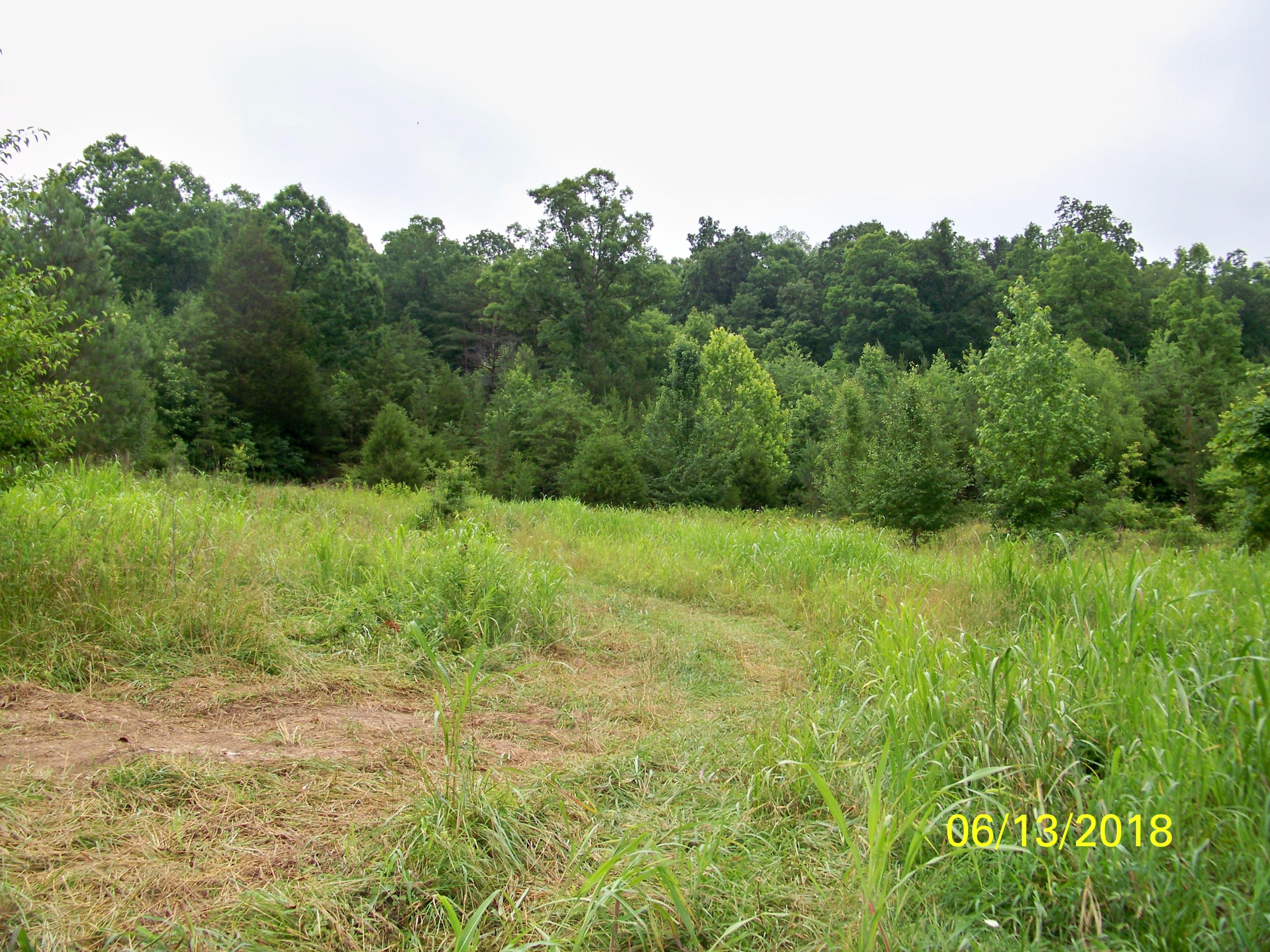 226 Colbaugh Road Decatur, TN 37322 - Photo 4 of 8 100_7140