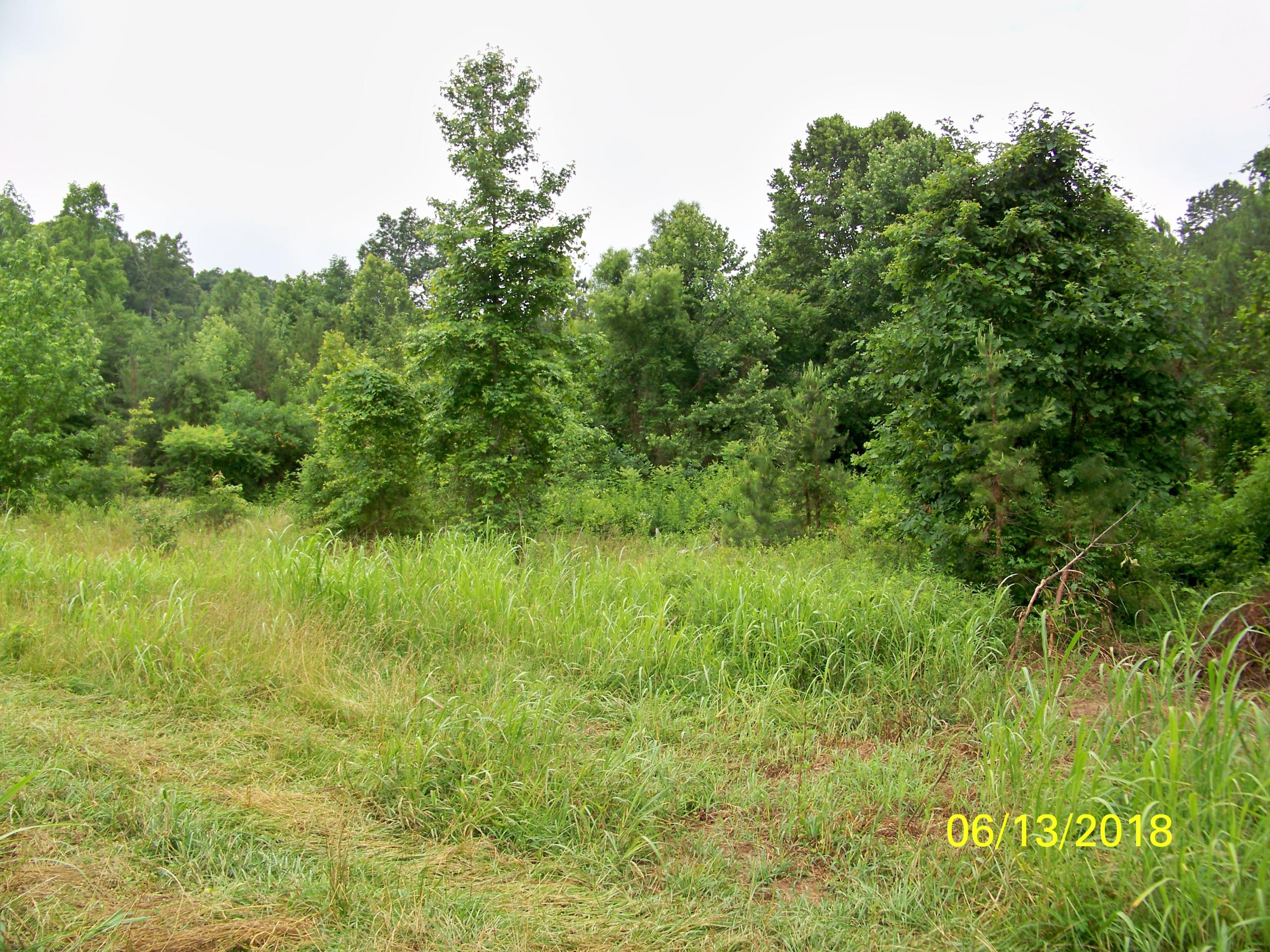 226 Colbaugh Road Decatur, TN 37322 - Photo 5 of 8 100_7141