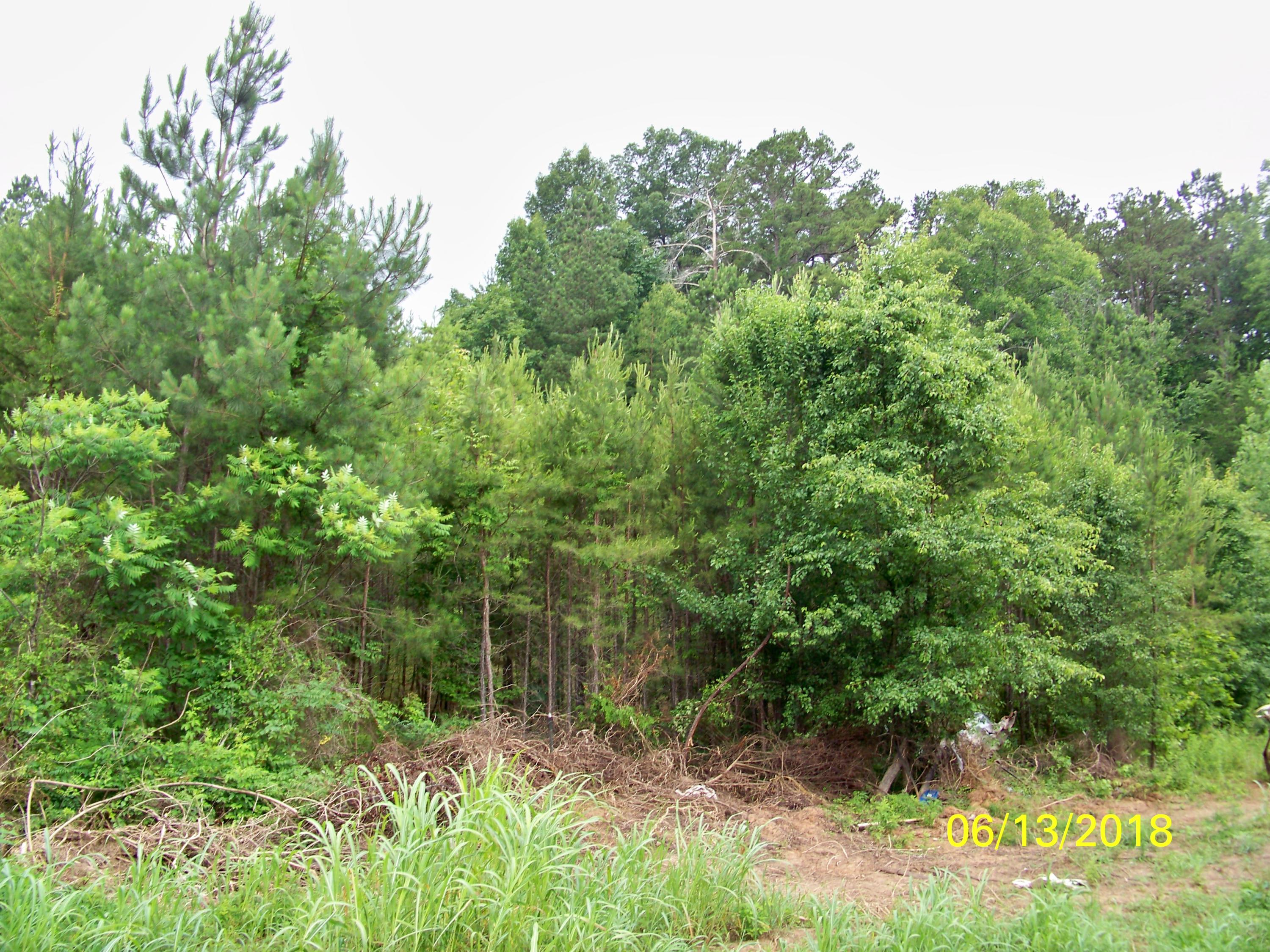 226 Colbaugh Road Decatur, TN 37322 - Photo 6 of 8 100_7142