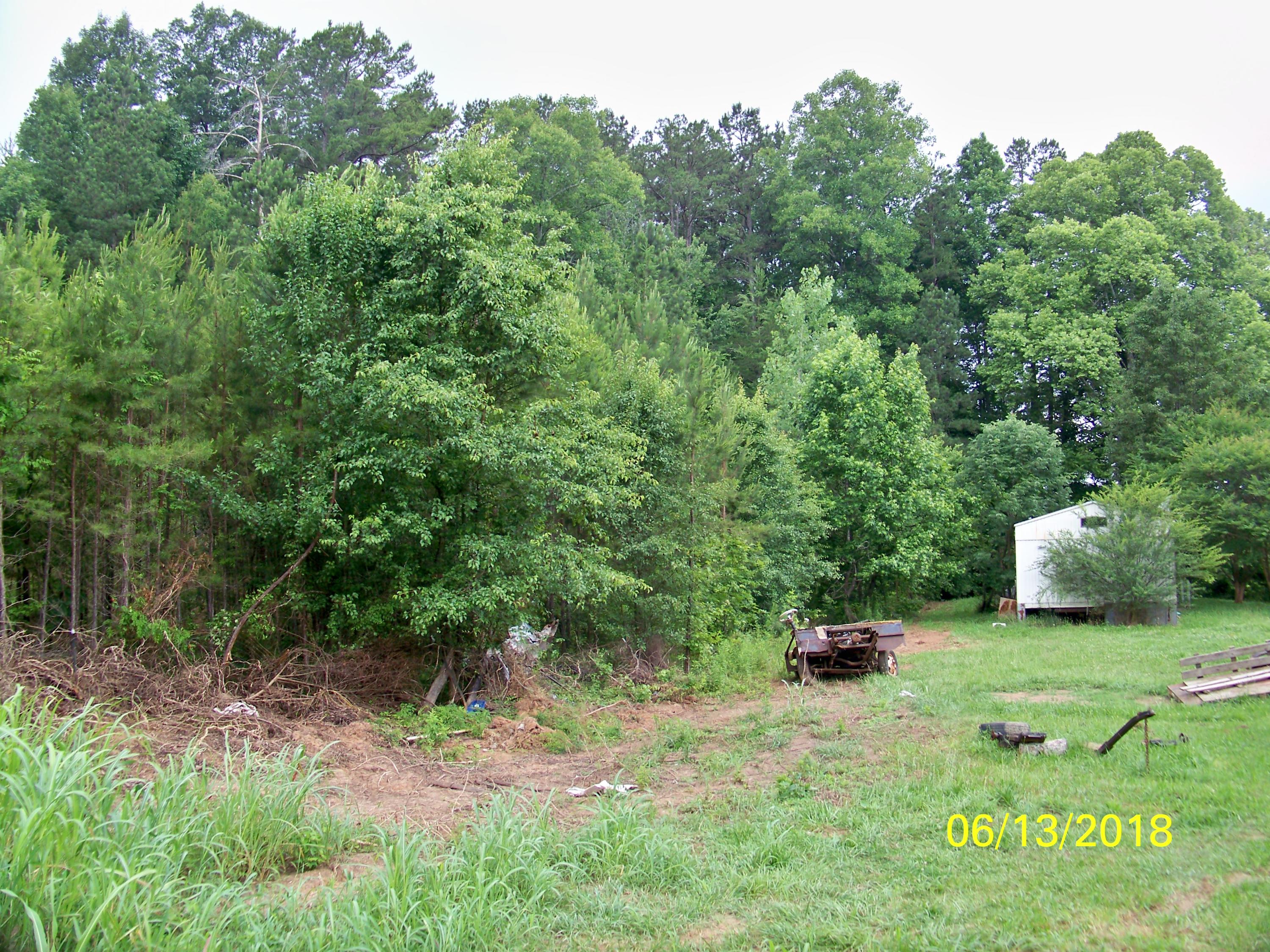 226 Colbaugh Road Decatur, TN 37322 - Photo 7 of 8 100_7143