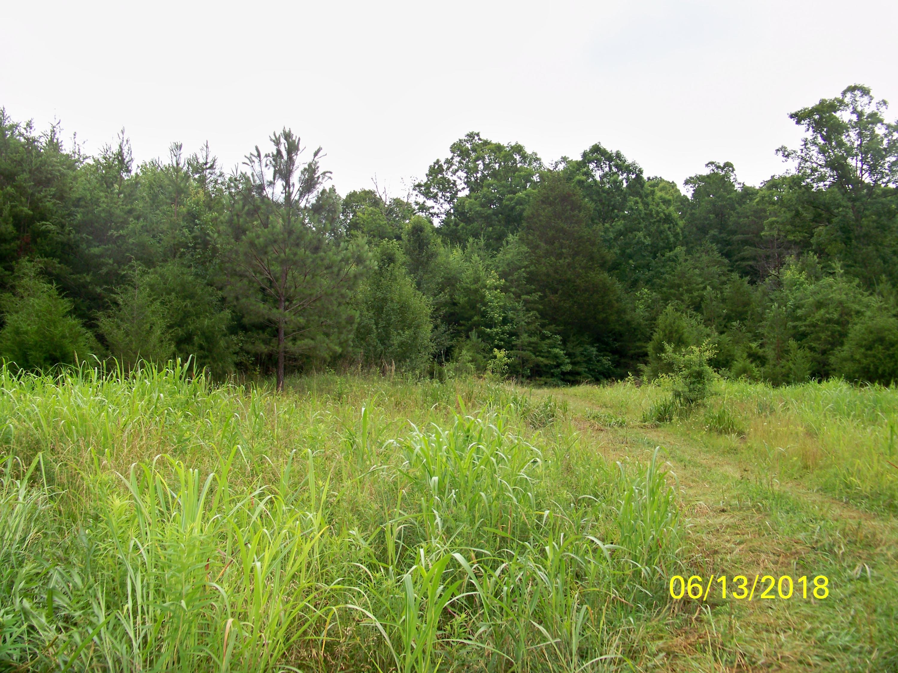 226 Colbaugh Road Decatur, TN 37322 - Photo 8 of 8 100_7144