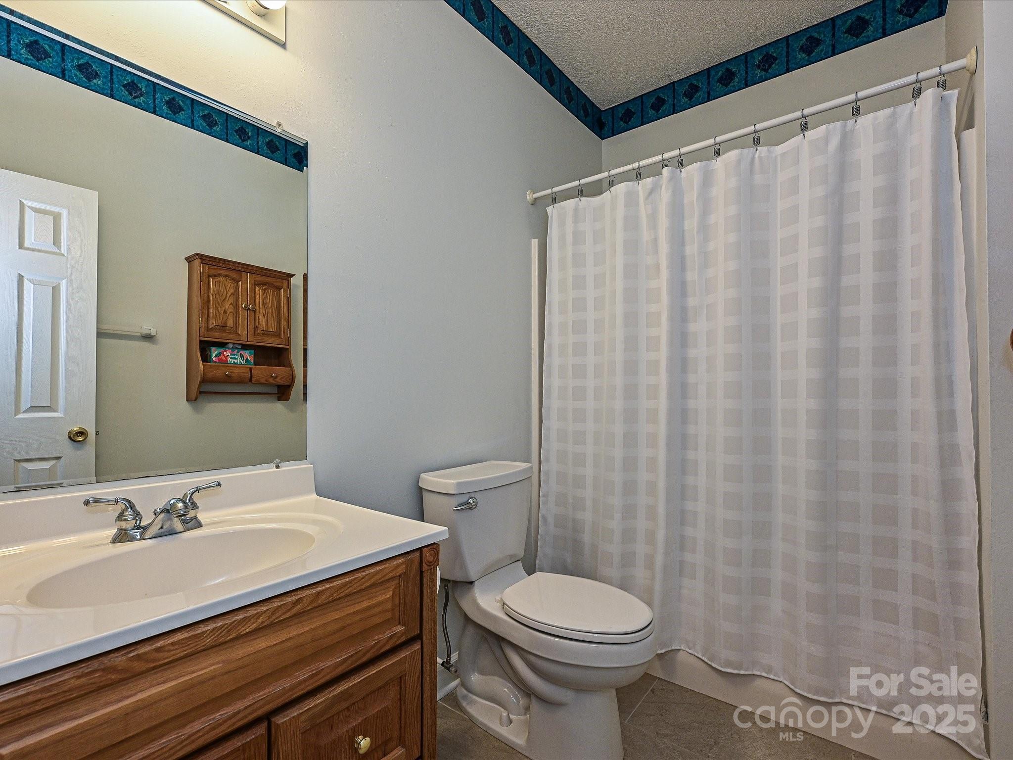 25040 Timberlake Drive Tega Cay, SC 29708 - Photo 28 of 40 a bathroom with a sink a toilet and shower curtain