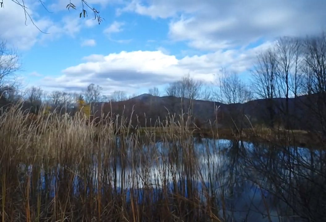 1735 Ripton Road Lincoln, VT 05443 - Photo 32 of 40