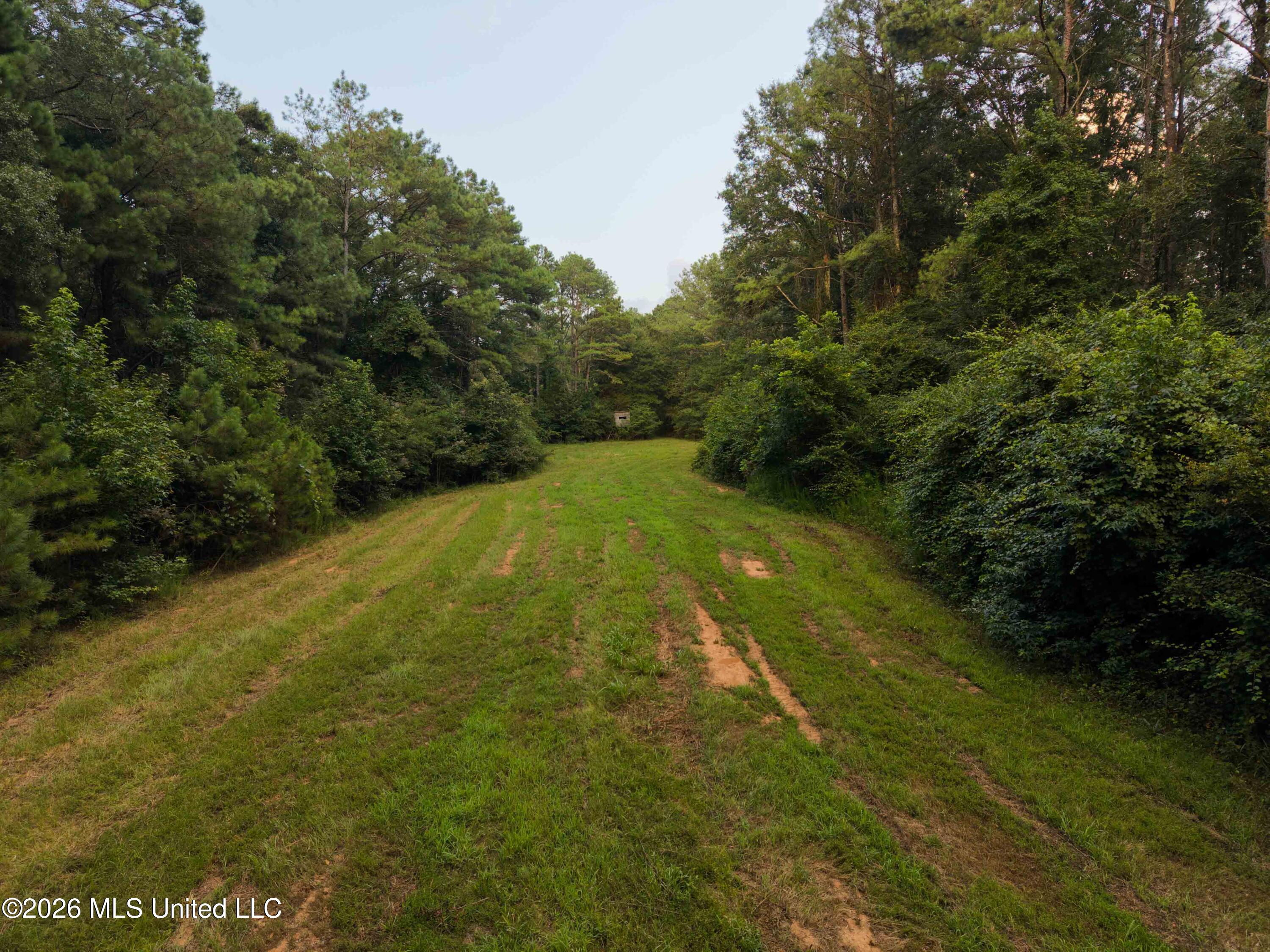 235 Woodrow Martin Road Brandon, MS 39042 - Photo 12 of 36 watsonphotography260720191404