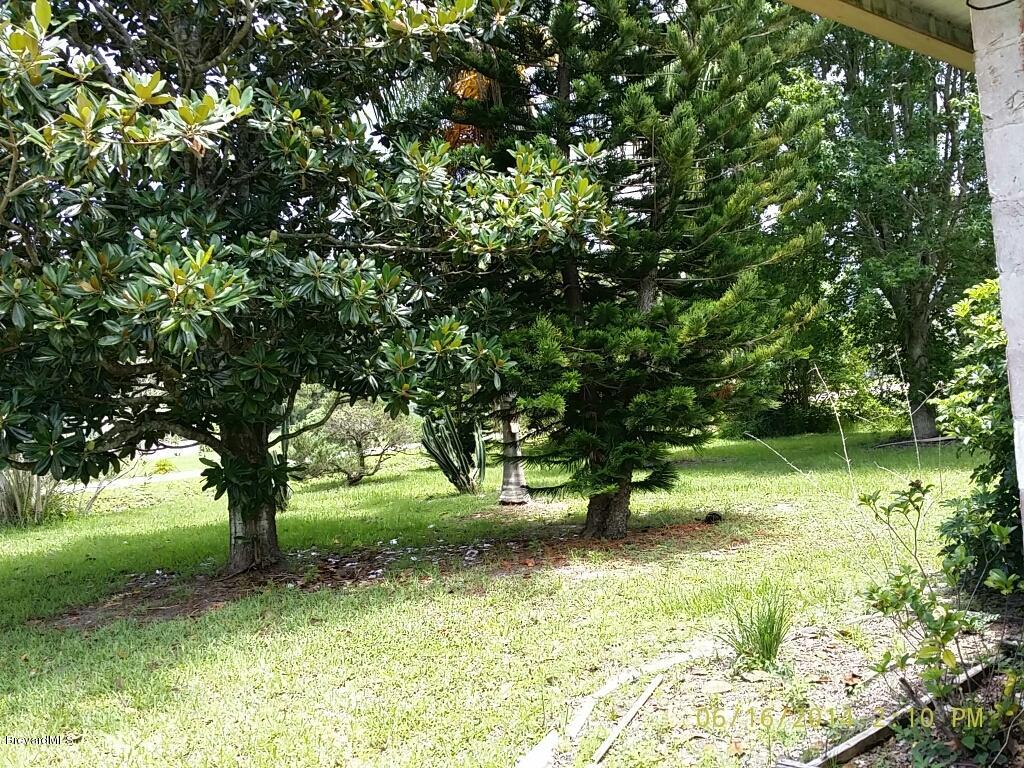 175 Northwest Valencia Road Melbourne, FL 32904 - Photo 2 of 8 Magnolia Tree