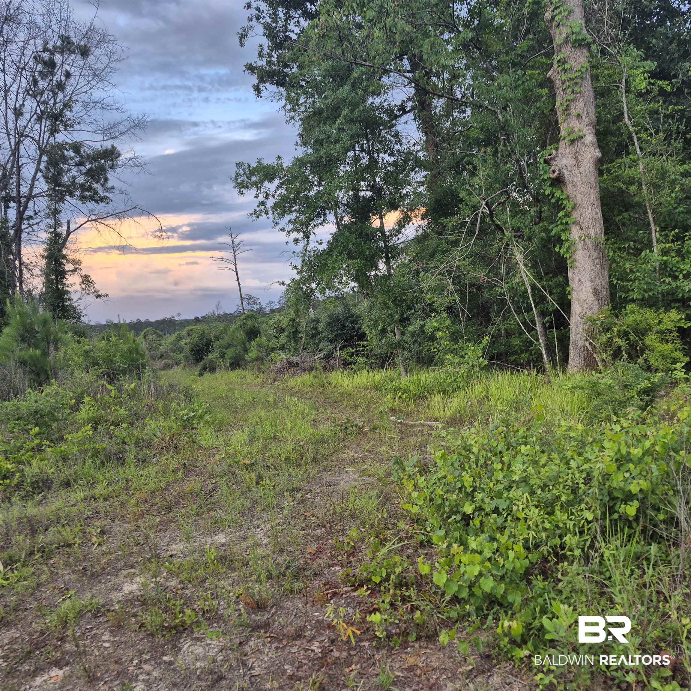 0 Brooklyn Road Evergreen, AL 36401 - Photo 13 of 15