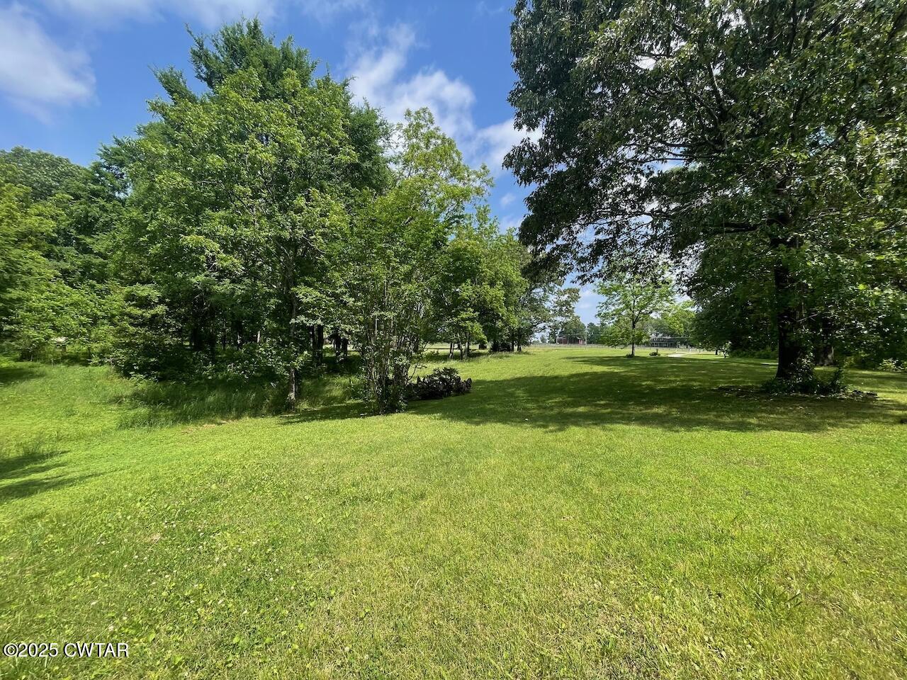 2688 Beech Bluff Road Jackson, TN 38301 - Photo 3 of 30 a view of a trees in a park