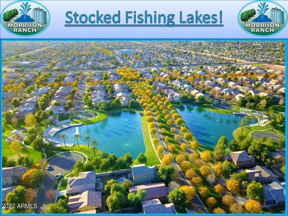 3981 East Weather Vane Road Gilbert, AZ 85296 - Photo 46 of 47 Stocked Fishing Lakes