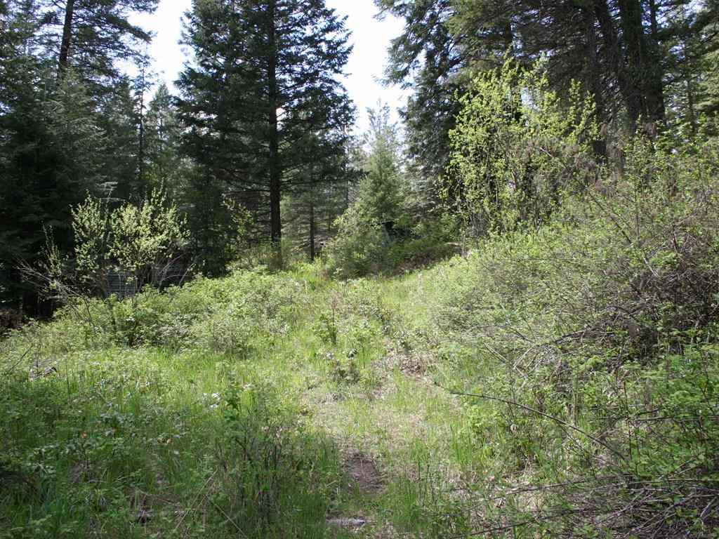 42716 North Hatch Road Deer Park, WA 99006 - Photo 14 of 18 Gallery Image 14