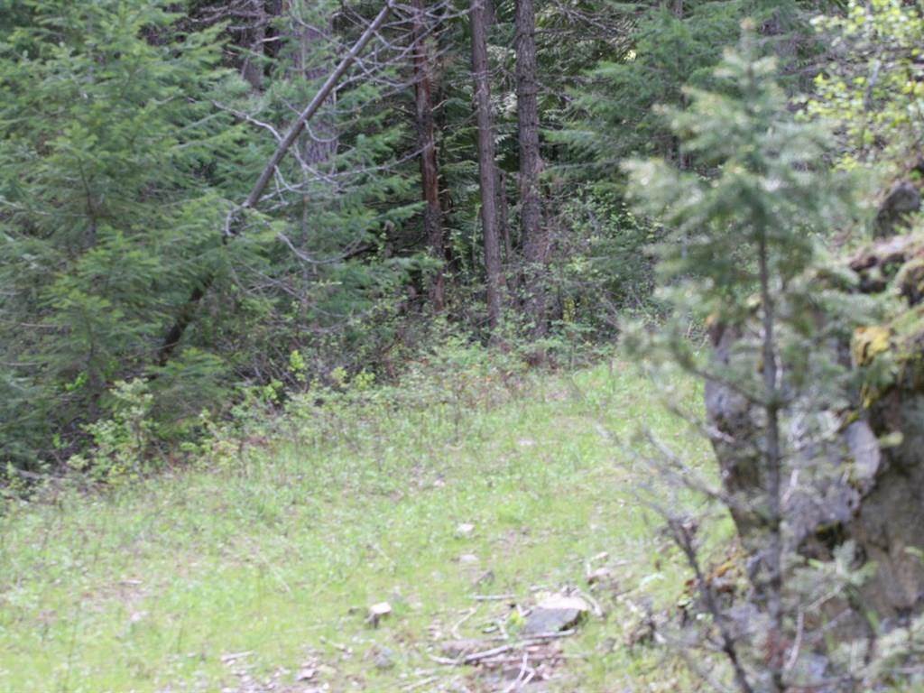 42716 North Hatch Road Deer Park, WA 99006 - Photo 16 of 18 Gallery Image 16