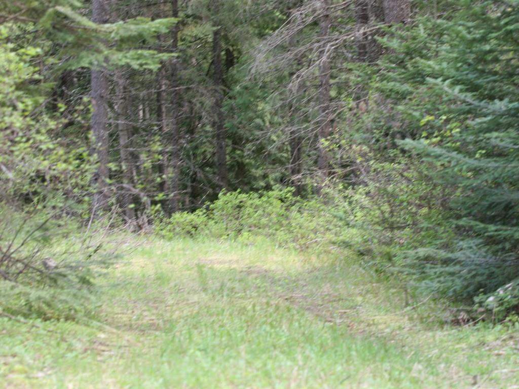 42716 North Hatch Road Deer Park, WA 99006 - Photo 8 of 18 Gallery Image 8