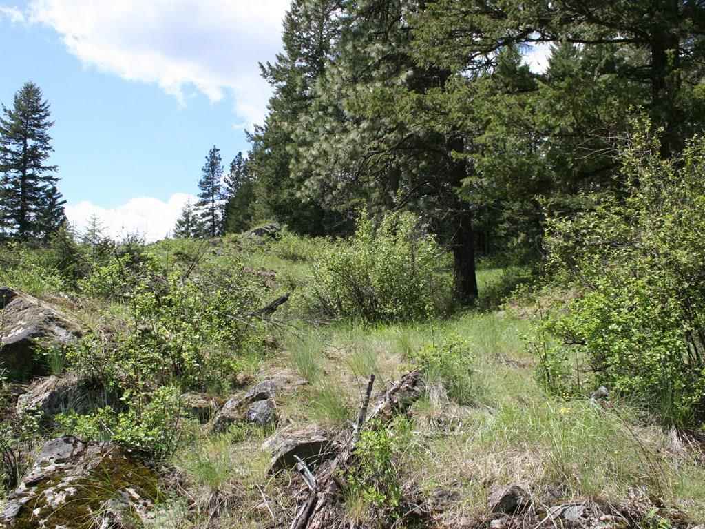 42716 North Hatch Road Deer Park, WA 99006 - Photo 9 of 18 Gallery Image 9