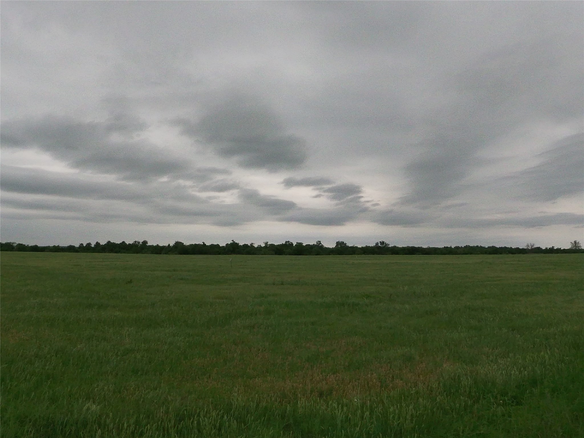 0 Fm 112 Road Thrall, TX 76578 - Photo 25 of 38