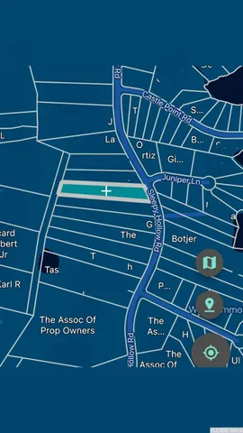 a view of a garden with a tree