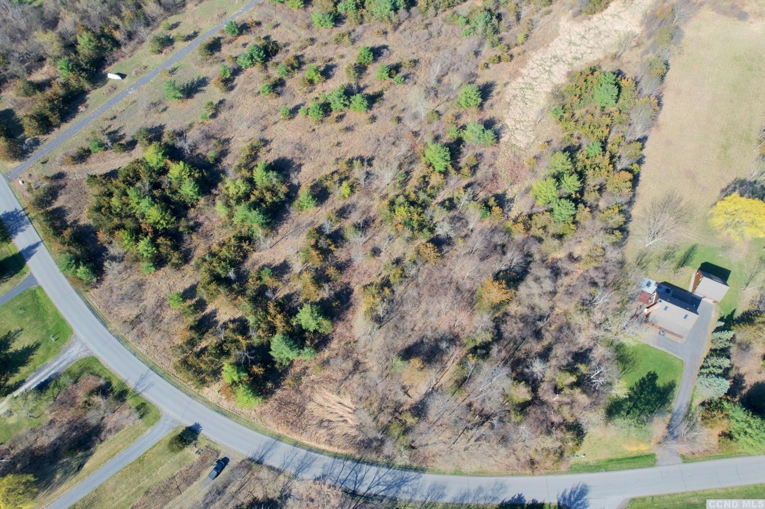 2516 Sleepy Hollow Road Athens, NY 12015 - Photo 6 of 9 a view of a garden with a tree