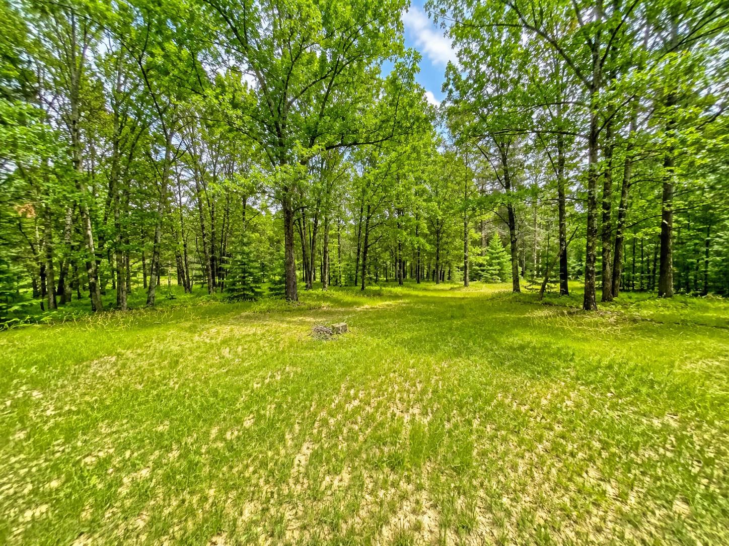 950 West Trout Valley Road Hancock, WI 54943 - Photo 3 of 15