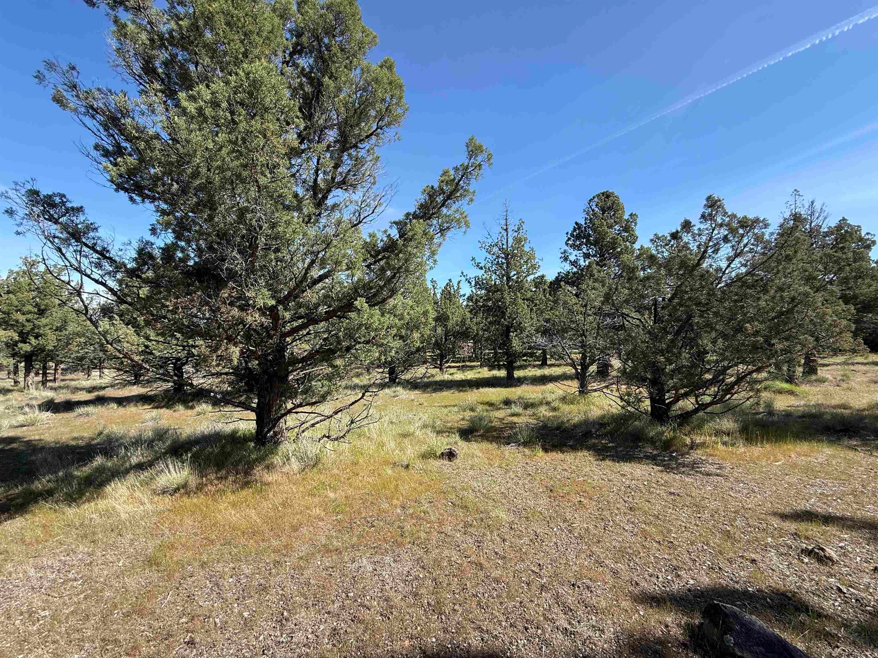 Lot 25 Palomino Road Weed, CA 96094 - Photo 6 of 20 Gallery Image 6