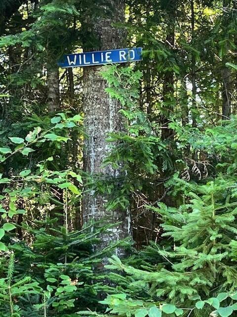 Lot 92 Willie Road Stratton, ME 04982 - Photo 3 of 4 3