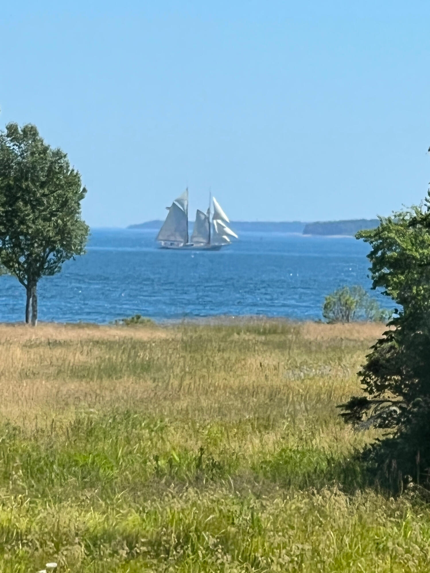 93 Harriman Point Road Brooklin, ME 04616 - Photo 96 of 96 98