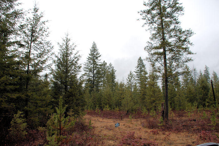 Nnn West Dolan Road Rathdrum, ID 83858 - Photo 1 of 1 VIEW