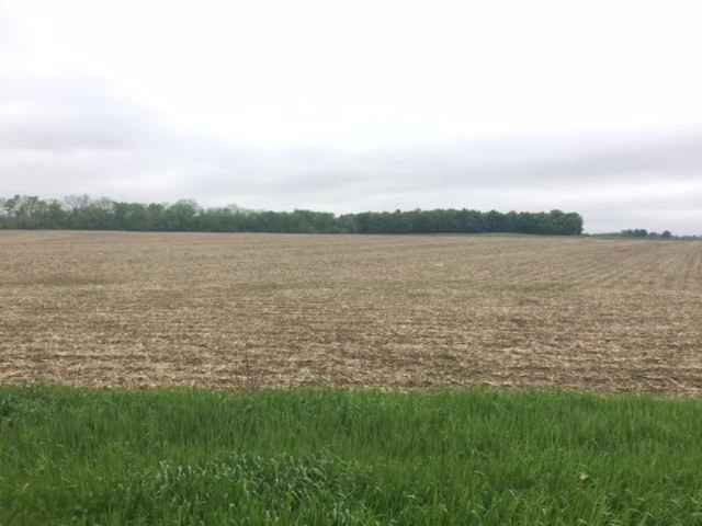 Walton Road Niles, MI 49120 - Photo 1 of 7 IMG_5686