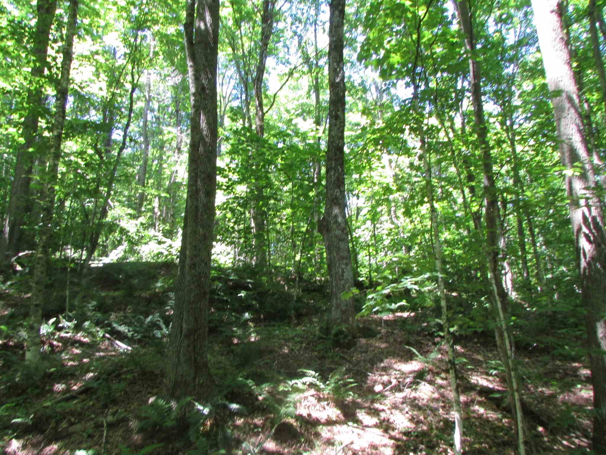 Softwood Road Wolcott, VT 05680 - Photo 14 of 18 Gallery Image 14