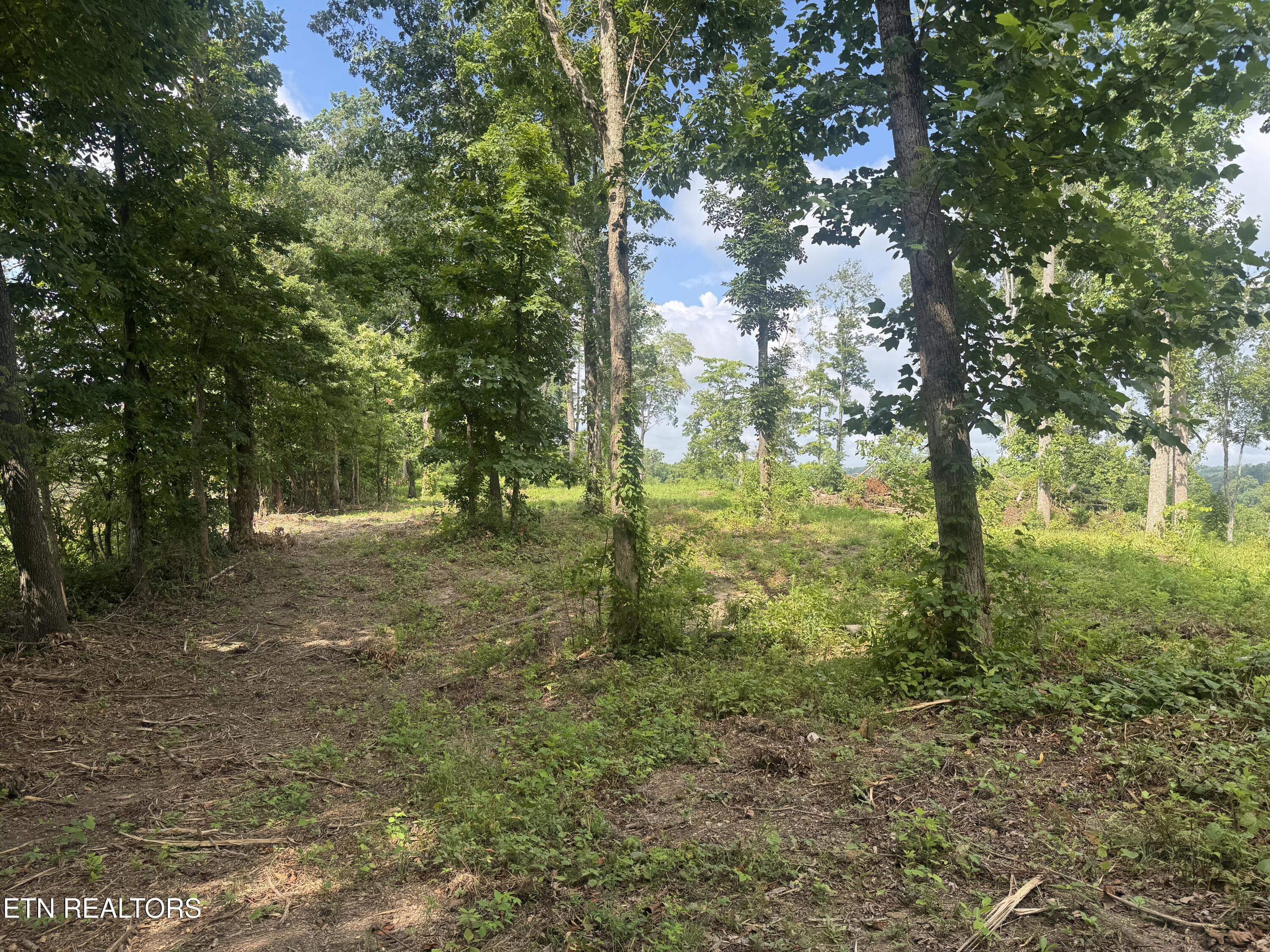 2 Mill Creek Road Andersonville, TN 37705 - Photo 16 of 29 IMG_0937