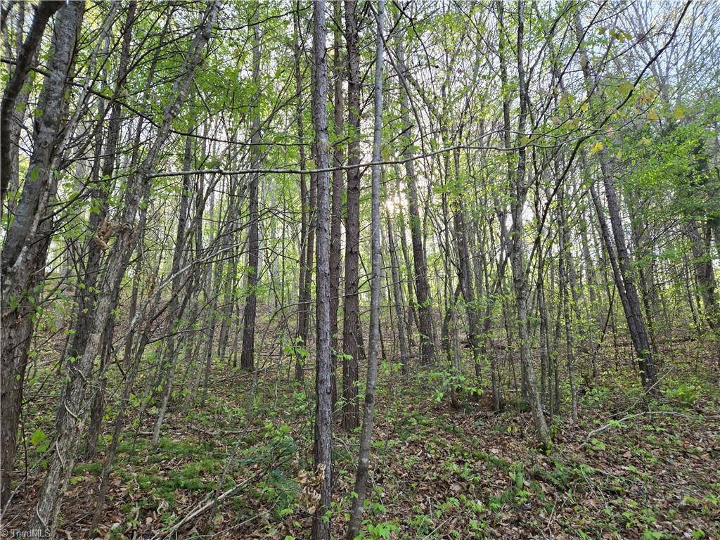 0 Hoover Hill Road Asheboro, NC 27205 - Photo 11 of 29