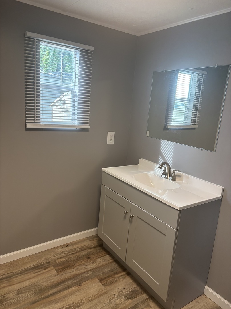 3 Franklin Drive Manteno, IL 60950 - Photo 12 of 23 a bathroom with a sink and a mirror