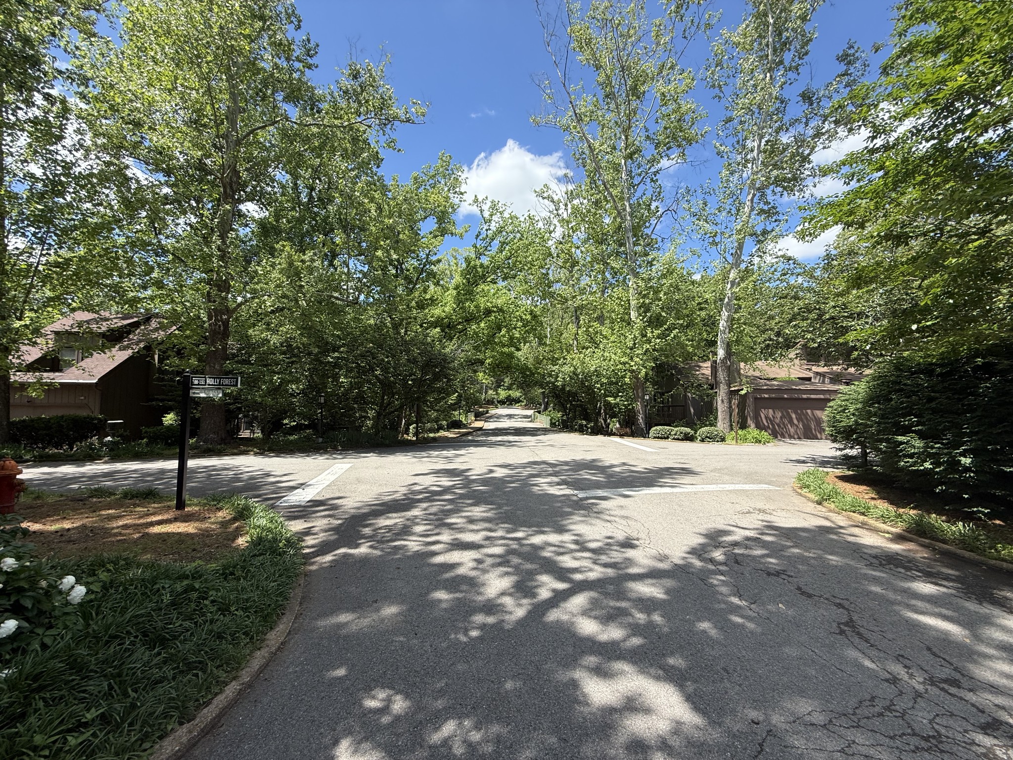 901 Holly Forest Nashville, TN 37221 - Photo 12 of 18 a view of a yard with a tree