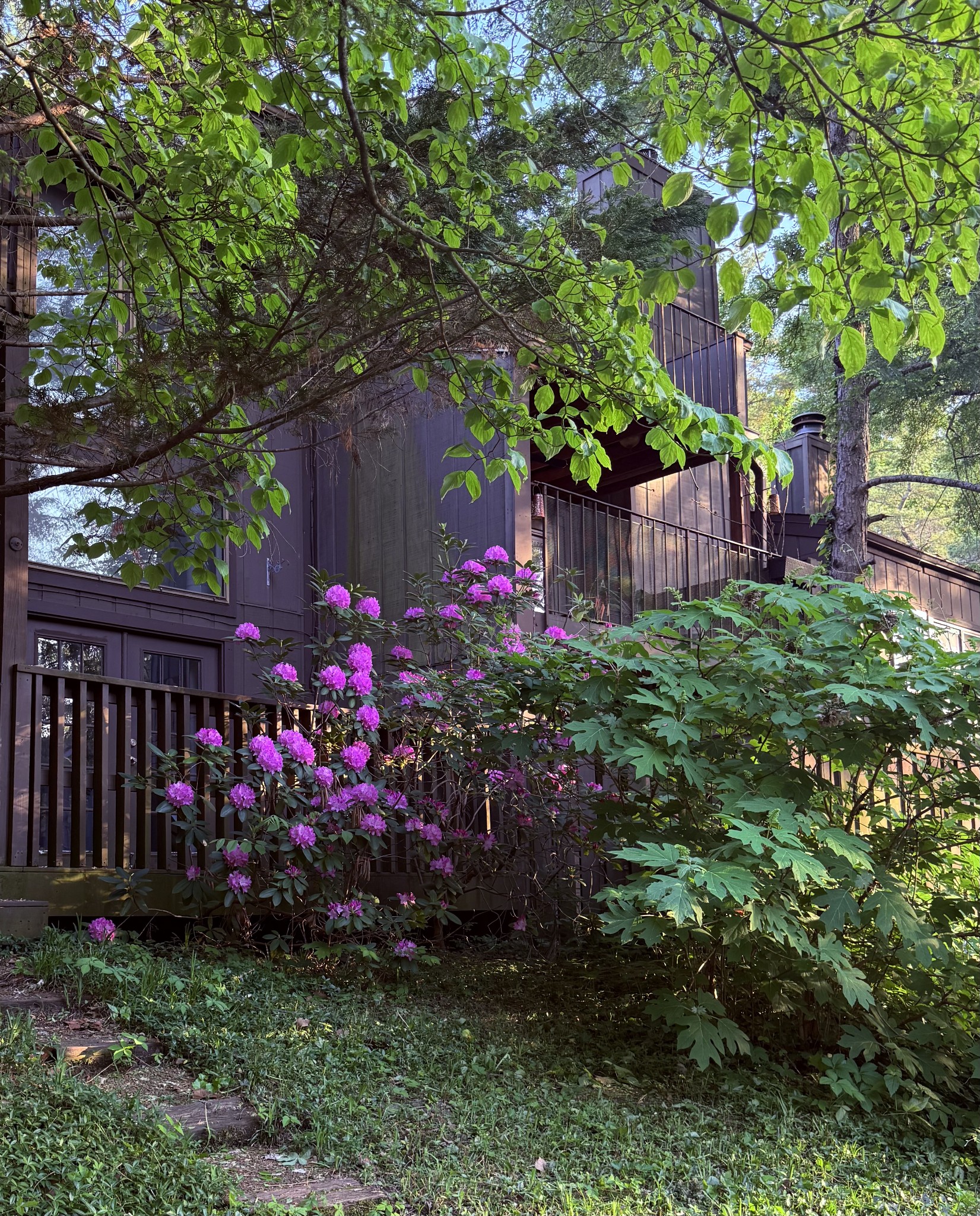 901 Holly Forest Nashville, TN 37221 - Photo 13 of 18 a view of a garden with wooden fence